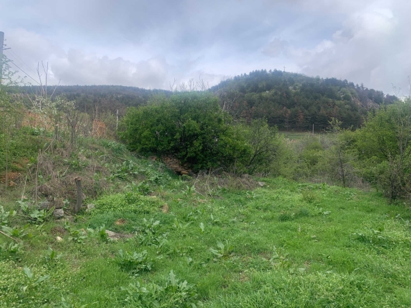 Парцел в Хисаря - 958 кв.м за 33 €/кв.м - Снимка #1