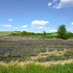 Парцел в София, Овча купел - 6943 кв.м за 1 €/кв.м - Снимка #1