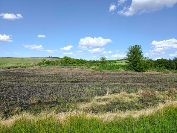 Парцел в София, Овча купел - 6943 кв.м за 1 €/кв.м - Снимка #1