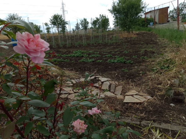 Къща в Бургас, Банево - 60 кв.м за 510 €/кв.м - Снимка #1