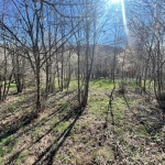 Парцел в Габрово, Център - 757 кв.м за 16 €/кв.м - Снимка #1