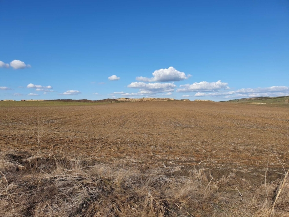 Земеделски имот в Бургас, Център -  кв.м за 1913 €/дка - Снимка #1