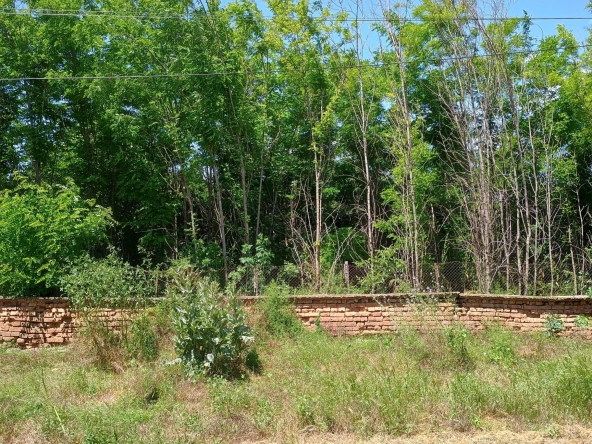 Къща в с. Обнова, Област Плевен - 100 кв.м за 113 €/кв.м - Снимка #1