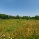 Парцел в с. Шемшево, Област Велико Търново - 1200 кв.м за 19 €/кв.м - Снимка #1