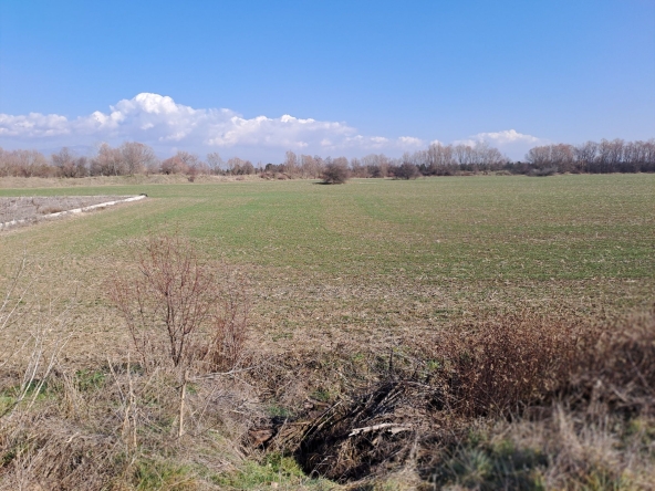 Парцел в с. Равно поле, Област София-област - 6000 кв.м за 13 €/кв.м - Снимка #1