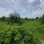 Парцел в Търговище, Изток 1 - 1762 кв.м за 29 €/кв.м - Снимка #1