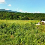 Земеделски имот в с. Миндя, Област Велико Търново -  кв.м за 3 €/дка - Снимка #1