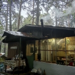 Дава се под наем Парцел в с. Гълъбово, Област Пловдив - 100 кв.м за 255 € - Снимка #1