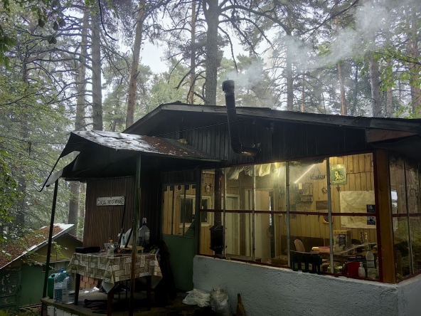 Дава се под наем Парцел в с. Гълъбово, Област Пловдив - 100 кв.м за 255 € - Снимка #1