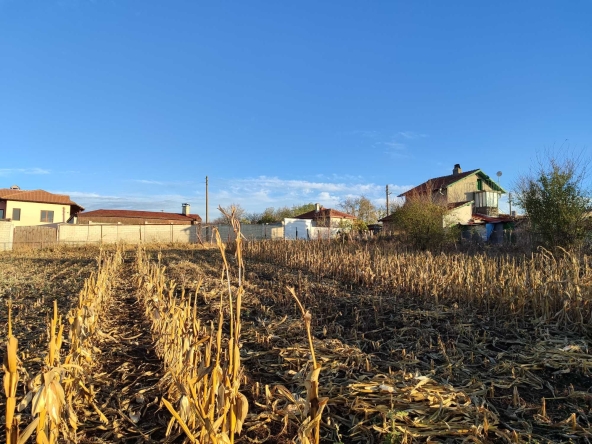 Парцел в с. Росеново, Област Добрич - 1360 кв.м за 6 €/кв.м - Снимка #1
