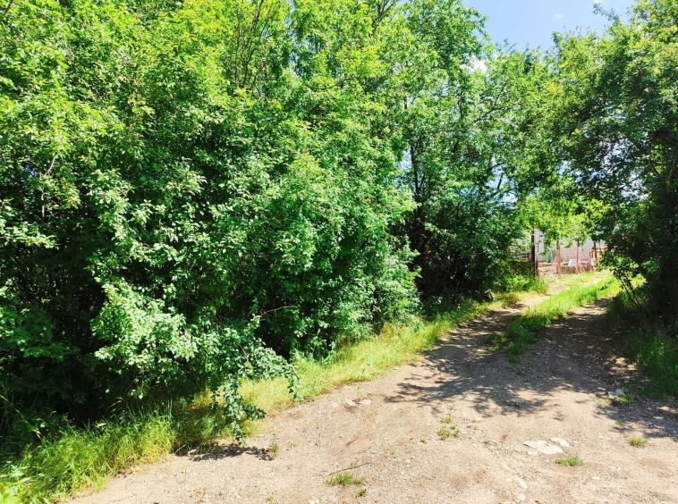 Парцел в с. Ново Ботево, Област Добрич - 1000 кв.м за 5 €/кв.м - Снимка #1