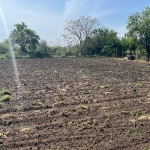 Парцел в с. Калипетрово, Област Силистра - 956 кв.м за 13 €/кв.м - Снимка #1