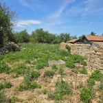 Парцел в с. Мерданя, Област Велико Търново - 1489 кв.м за 18 €/кв.м - Снимка #1