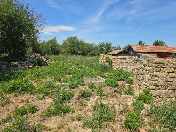 Парцел в с. Мерданя, Област Велико Търново - 1489 кв.м за 18 €/кв.м - Снимка #1