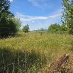 Парцел в с. Мерданя, Област Велико Търново - 1361 кв.м за 20 €/кв.м - Снимка #1