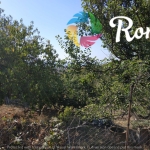 Парцел в Варна, Виница - 400 кв.м за 159 €/кв.м - Снимка #1