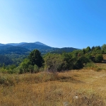 Парцел в с. Баните, Област Смолян - 600 кв.м за 17 €/кв.м - Снимка #1