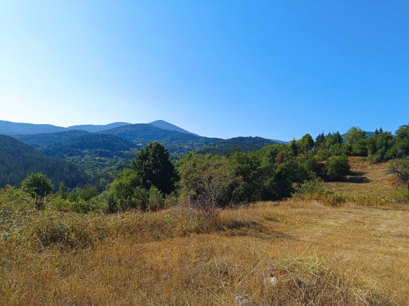 Парцел в с. Баните, Област Смолян - 600 кв.м за 17 €/кв.м - Снимка #1