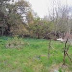 Парцел в Монтана, Пъстрина - 1625 кв.м за 5 €/кв.м - Снимка #1