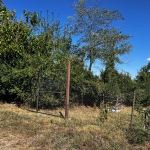 Парцел в с. Голям Поровец, Област Разград - 2631 кв.м за 10 €/кв.м - Снимка #1