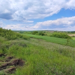 Парцел в к.к. Камчия - 1000 кв.м за 30 €/кв.м - Снимка #1