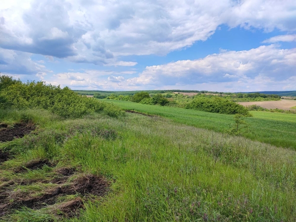 Парцел в к.к. Камчия - 1000 кв.м за 30 €/кв.м - Снимка #1