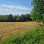 Земеделски имот в Ябланица -  кв.м за 5000 €/дка - Снимка #1