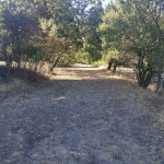 Парцел в София, Павлово - 1200 кв.м за 8 €/кв.м - Снимка #1