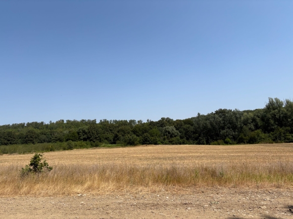 Земеделски имот в с. Солник, Област Варна -  кв.м за 544 €/дка - Снимка #1