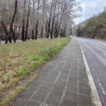 Парцел в с. Бачково, Област Пловдив - 363 кв.м за 138 €/кв.м - Снимка #1