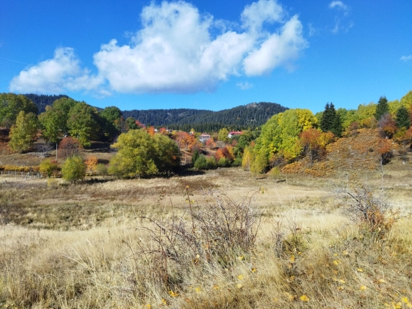 Парцел в Смолян, Езерово - 3136 кв.м за 35 €/кв.м - Снимка #1