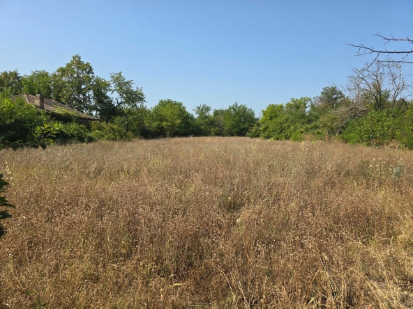 Парцел в с. Хотница, Област Велико Търново - 2800 кв.м за 7 €/кв.м - Снимка #1