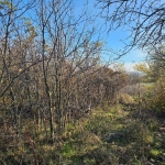 Парцел в с. Крумово, Област Варна - 1470 кв.м за 15 €/кв.м - Снимка #1