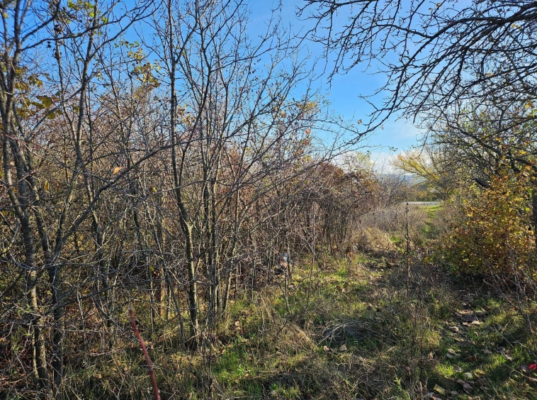 Парцел в с. Крумово, Област Варна - 1470 кв.м за 15 €/кв.м - Снимка #1