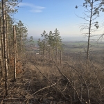 Парцел в Шумен, Херсон - 2192 кв.м за 10 €/кв.м - Снимка #1