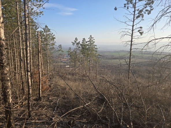 Парцел в Шумен, Херсон - 2192 кв.м за 10 €/кв.м - Снимка #1