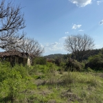 Парцел в с. Побит камък, Област Разград - 1836 кв.м за 6 €/кв.м - Снимка #1