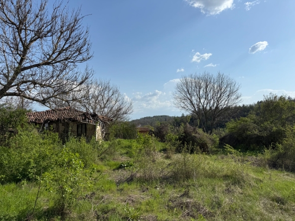 Парцел в с. Побит камък, Област Разград - 1836 кв.м за 6 €/кв.м - Снимка #1