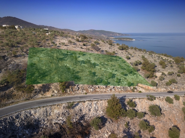 Парцел в София, Витоша - 6122 кв.м за 17 €/кв.м - Снимка #1