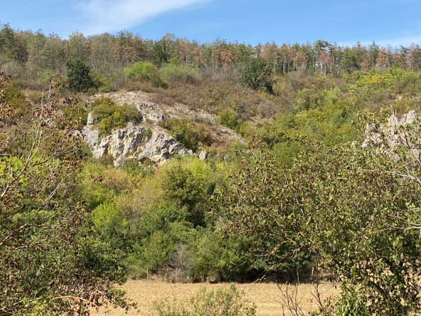 Парцел в с. Божичен, Област Русе - 720 кв.м за 66 €/кв.м - Снимка #1