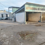 Промишлена сграда в Силистра, Изток - 500 кв.м за 32 €/кв.м - Снимка #1