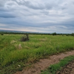 Парцел в с. Брестник, Област Пловдив - 600 кв.м за 65 €/кв.м - Снимка #1