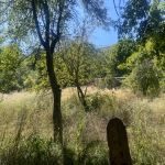 Парцел в София, Обеля 1 - 1025 кв.м за 40 €/кв.м - Снимка #1