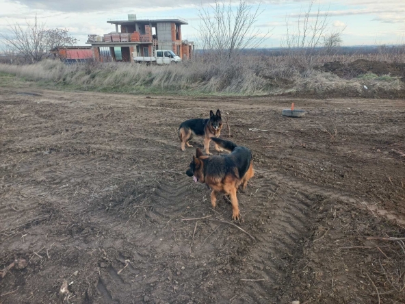 Парцел в Пловдив, Каменица 1 - 991 кв.м за 18 €/кв.м - Снимка #1