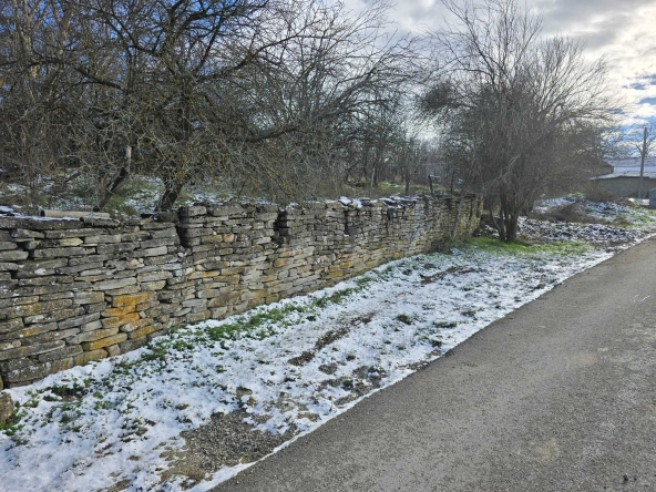 Парцел в с. Пушево, Област Велико Търново - 570 кв.м за 19 €/кв.м - Снимка #1