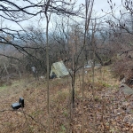 Парцел в Габрово, Шенини - 975 кв.м за 18 €/кв.м - Снимка #1