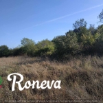 Парцел в Варна, Виница - 1050 кв.м за 305 €/кв.м - Снимка #1