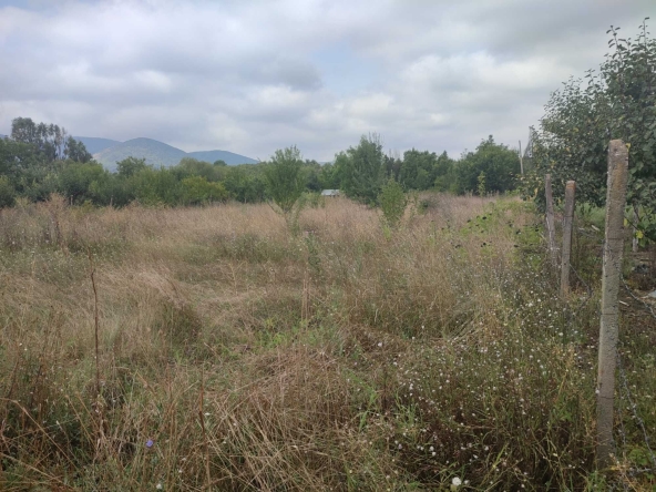 Парцел в Търговище, Вилна зона - 986 кв.м за 10 €/кв.м - Снимка #1