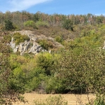 Парцел в с. Божичен, Област Русе - 720 кв.м за 29 €/кв.м - Снимка #1