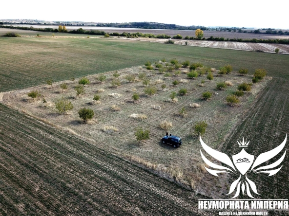 Земеделски имот в с. Козаново, Област Пловдив -  кв.м за 1530 €/дка - Снимка #1